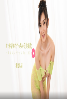 HEYZO-3662 ชิโฮะ ซาคาทานิ สาวสวยสุดเซ็กซี่ คอลเลคชั่นสาวสวย